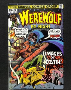 Werewolf By Night #36 FN+ 6.5