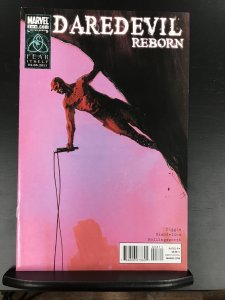 Daredevil: Reborn #3 (2011)