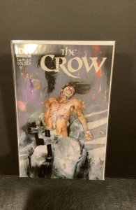 Crow: Death & Rebirth #1 Incentive Cover (2012)