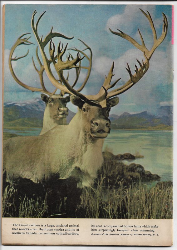 The Lone Ranger #3 March 1965- Silver Age - (VG)