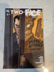 Two-Face: Year One #1 (2008)
