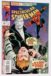 The Spectacular Spider-Man #205 (Oct 1993, Marvel) VF/NM