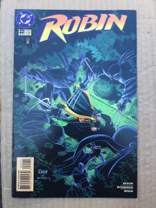 Robin #22 (1995)