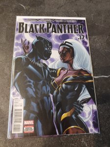 Black Panther #17 (2017)