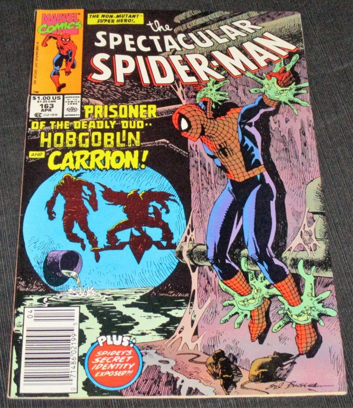 The Spectacular Spider-Man #163 (1990)