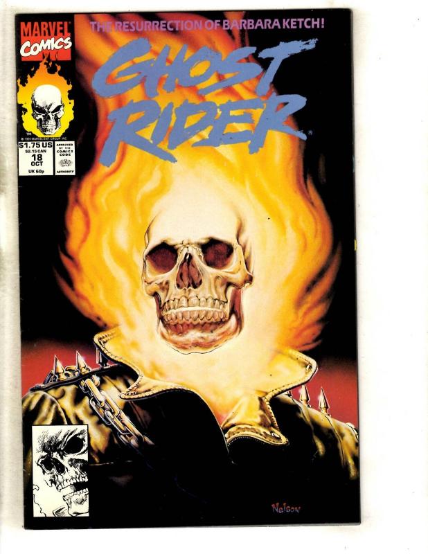 10 Marvel Comics Ghost Rider 42 43 47 Special 1 18 19 20 22 1 Silver Sable 1 DJ2