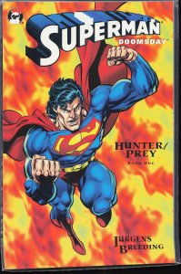 Superman/Doomsday: Hunter/Prey #1 (1994) Superman