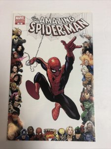Amazing Spider-Man (2009) # 602 (NM) Variant