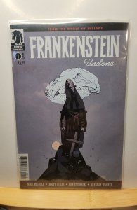 Frankenstein Undone #1 Variant Cover (2020)