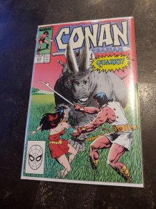 Conan the Barbarian #210 (1988)