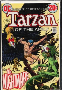 Edgar Rice Burroughs' Tarzan #214 (1972)