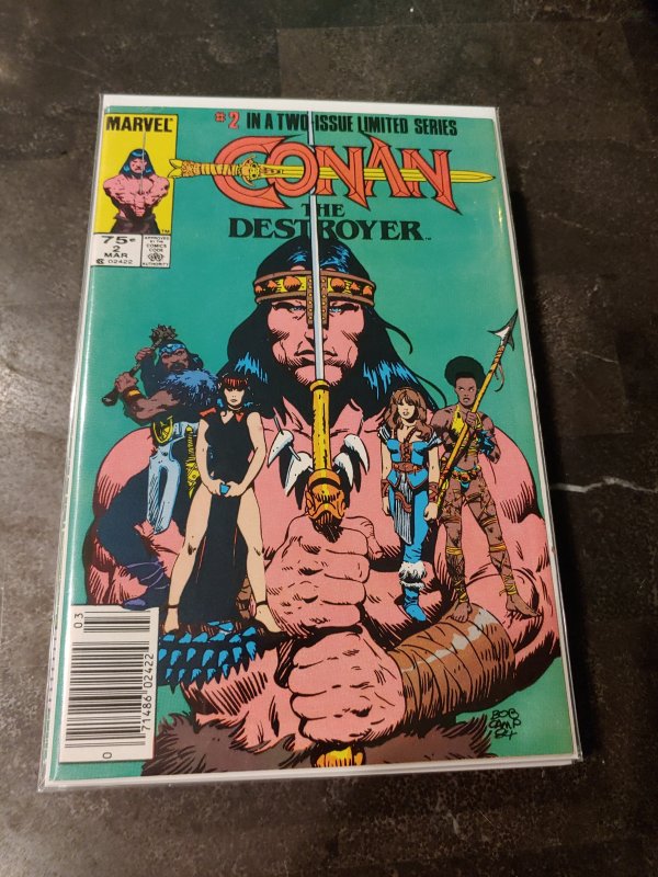 Conan the Destroyer #2 (1985)