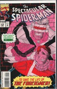 The Spectacular Spider-Man #210 (1994) Spider-Man
