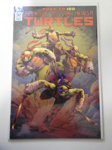 Teenage Mutant Ninja Turtles: Road To 100 (2019)