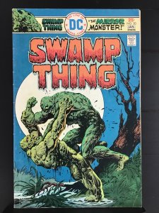 Swamp Thing #20 (1976)