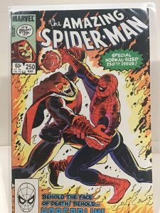 The Amazing Spider-Man #250 (1984)