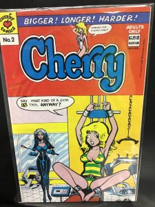Cherry Poptart #2 Fifth Print Cover (1985) must be 18
