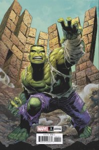 Incredible Hulk #1 2023 Cheung Cover B Marvel Comics EB84
