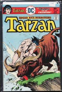 Edgar Rice Burroughs' Tarzan #248 (1976)