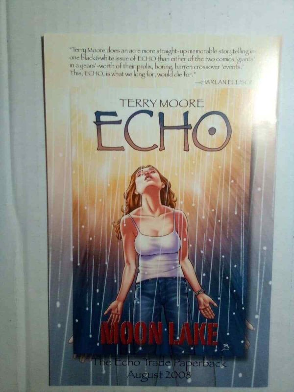 Echo #4 NM- Abstract Studio C2A