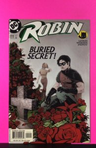 Robin #111 (2003)