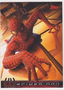 2002 Spider-Man Movie Promo Card #P1