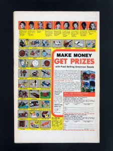 The Spectacular Spider-Man #29 (1979)