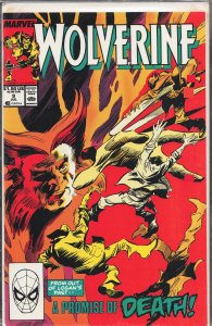 Wolverine #9 (1989) Wolverine