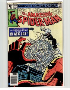 The Amazing Spider-Man #205 (1980) Spider-Man