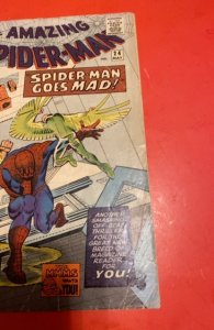 The Amazing Spider-Man #24 (1965) spidey goes crazy