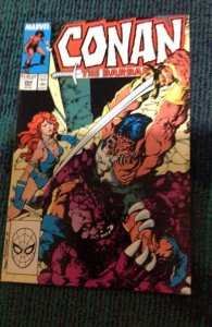 Z Conan the Barbarian #204 (1988) Goblin! Red Sonja Cover! High-Grade NM- Wow!