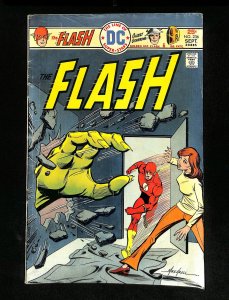 Flash #236