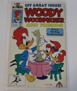 Woody Woodpecker And Friends #1  Harvey Comics 1991