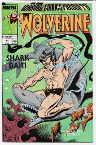 Marvel Comics Presents #41 (1990) Wolverine