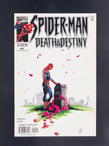 Spider-Man: Death and Destiny #2 (2000)