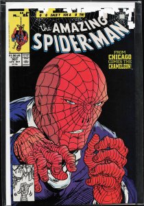 The Amazing Spider-Man #307 (1988) Spider-Man