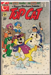 Top Cat #11 (1972) Top Cat