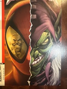 Spider-Man: House of M #4 (2005)