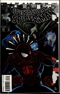 The Spectacular Spider-Man #207 (1993) Spider-Man