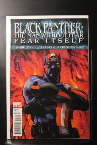 Black Panther: The Man Without Fear #521 (2011)
