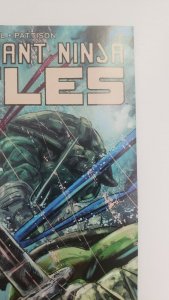 Teenage Mutant Ninja Turtles #114 1:10 Hervas Incentive Variant! IDW Comics 2021