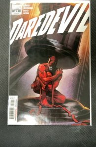 Daredevil #24 (2021)