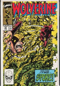 Wolverine #22 (1990) Wolverine