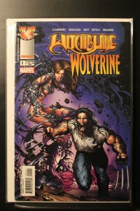 Witchblade / Wolverine One-Shot (2004)