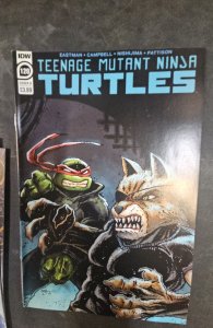 Teenage Mutant Ninja Turtles #120 Cover B