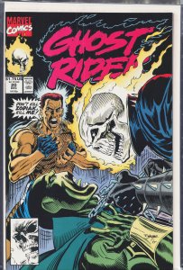 Ghost Rider #20 (1991) Ghost Rider