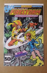 The Fury of Firestorm #41 (1985) vf