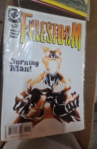 Firestorm #2 (2004)