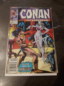 Conan el Bárbaro #165 
