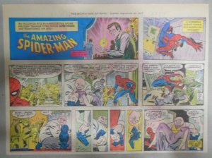 Spiderman Sunday by Stan Lee & John Romita from 9/25/1977 Size: 11 x 15 inches